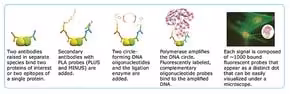 Duolink In Situ Mounting Medium with DAPI, 5 ml