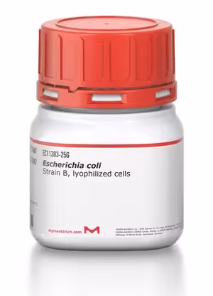 Escherichia coli Strain B, lyophilized cells, 25 g