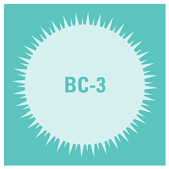 Bc-3 human b lymphocyte cell line: sup à1x10^6 frozen exosomes 50 µg 50 µg