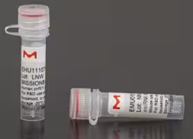 MISSION esiRNA targeting human HMGA1, 20 µg