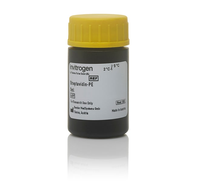 Procartaplex streptavidin-pe- 1 réactions