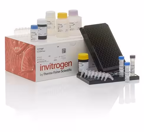 Inflammation 20-plex human procartaplex panel-96 tests