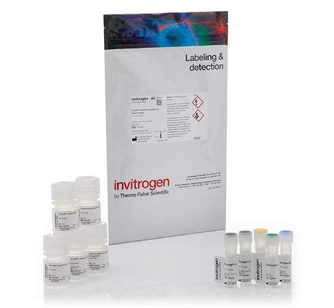 Fluxor ii green potassium ion channel assay-2 plates