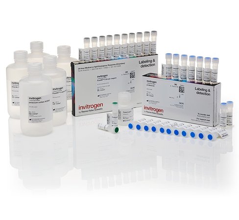 Fluxor ii green potassium ion channel assay-100 plates
