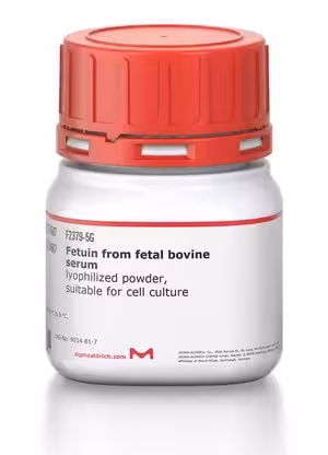 Fetuin from fetal bovine serum lyoph 1 g