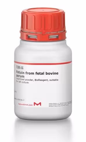 Fetuin from fetal bovine serum 1 g