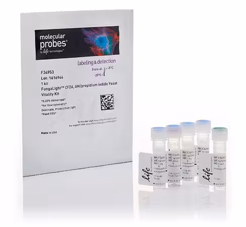 Fungalight yeast cfda, am/propidium iodide vitality kit-1 kit