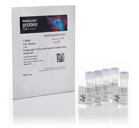 Fungalight yeast cfda, am/propidium iodide vitality kit-1 kit