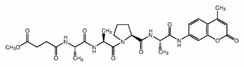 Elastase substrate v 25 mg