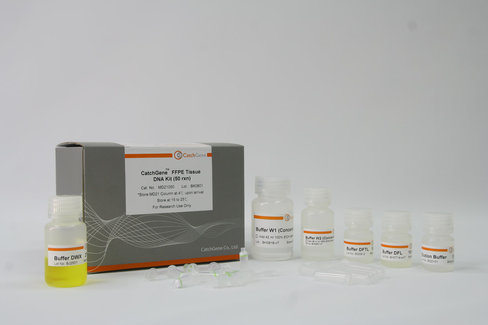 Catchgene ffpe tissue dna kit 50 pcs