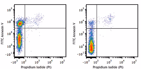 FITC Annexin V Apoptosis Detection Kit with PI 100 tests