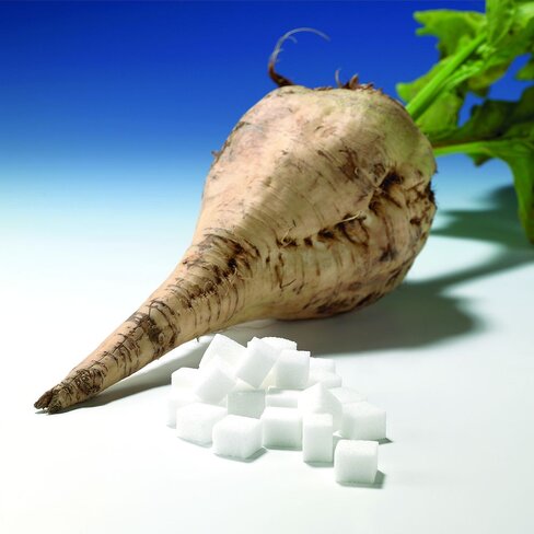 Filtre plié sucre betterave Ø 210 mm x 250