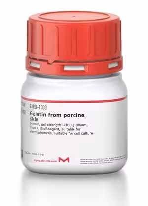 Gelatin from porcine skin powder gel 500 g