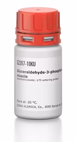 Glyceraldehyde-3-phosphate dehydrogenas 10 KU