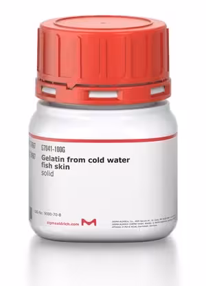 Gelatin from cold water fish skin solid, 500 g