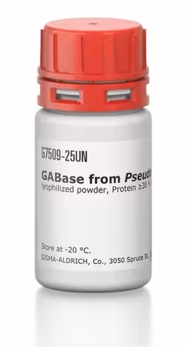 Gabase from pseudomonas fluorescens 10 U
