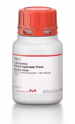 Glutamic dehydrogenase from bovine liver 100 mg