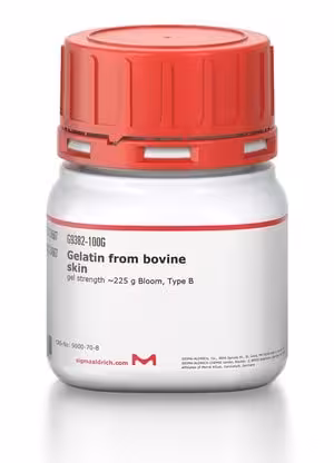 Gelatin from bovine skin gel strength 100 g