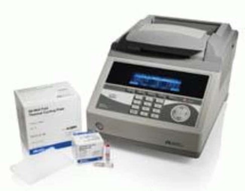 Geneamp fast pcr master mix (2x)-250 réactions