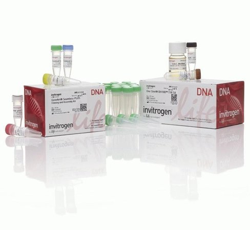 Geneart seamless plus cloning and assembly kit- 20 réactions