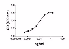 Recombinant Mouse GM-CSF (carrier-free) 10 µg