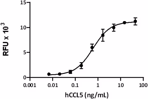 Recombinant Human CCL5 (RANTES) (carrier-free) 25 µg