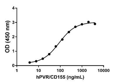 Recombinant Human CD155-Fc Chimera (carrier-free) 25 µg