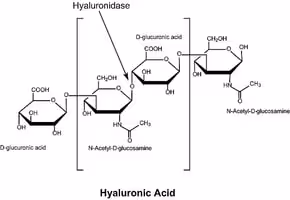 Hyaluronidase type iv-s from bovine 500 mg