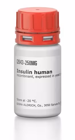 Insulin human recombinant 25 mg