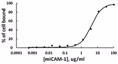 Recombinant Mouse ICAM-1-Fc Chimera (carrier-free) 100 µg