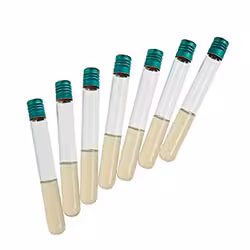 Stock Culture Agar tubes 1 mL