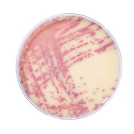 MRSASelect II 20x90mm