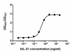 Recombinant Human IL-21 (carrier-free) 25 µg