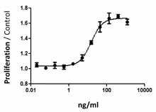 Recombinant Mouse IL-21 (carrier-free) 10 µg