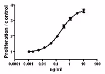 Recombinant Human IL-3 (carrier-free) 10 µg