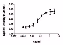 Recombinant Mouse IL-5 (carrier-free) 10 µg