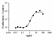 Recombinant Mouse IL-7 (carrier-free) 10 µg