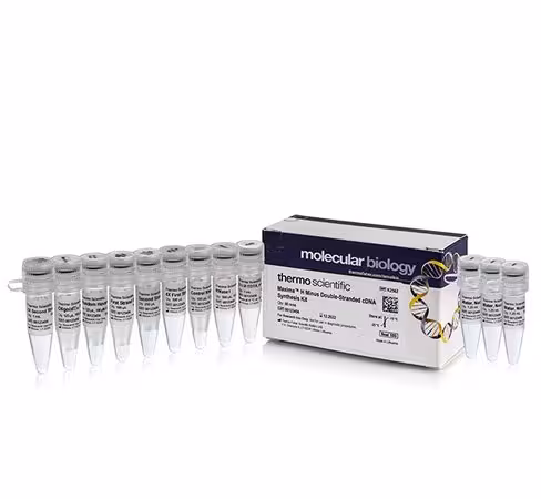 Maxima h minus double-stranded cdna synthesis kit-200 réactions