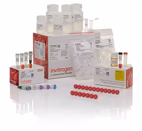 Topo xl-2 complete pcr cloning kit, with one shot omnimax 2 t1r chemically competent e. coli cells-20 réactions