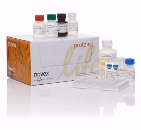 Aggrecan (pg) human elisa kit-96 tests
