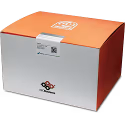 Magcore genomic dna cultured cells kit