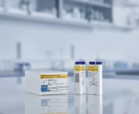 Beta-Hydroxybutyrate 21 FS 4x120 tests