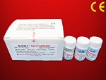 Apolipoprotein E Calibrator 1x1mL/2x2 mL