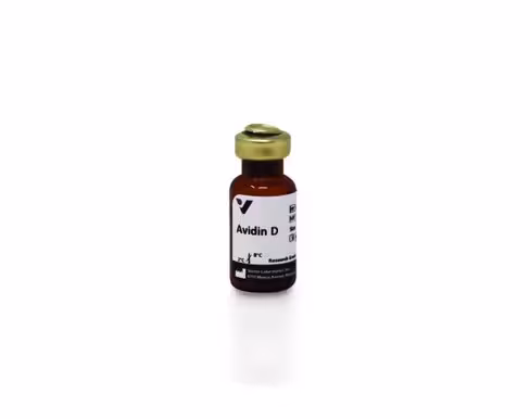 Avidin d 10 mg