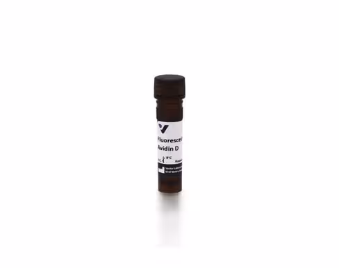 Fluorescein avidin d 5 mg