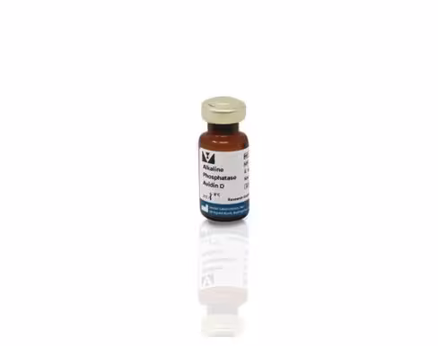 Alkaline phosphatase avidin d 100 unités