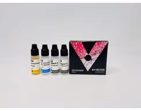 Vectastain abc-ap kit rabbit igg