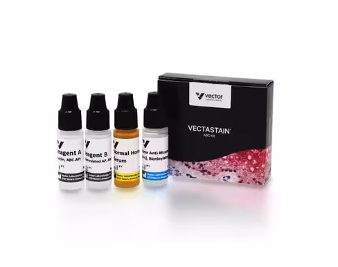 Vectastain abc-ap kit (mouse igg)