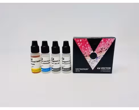 Vectastain abc-ap kit (rat igg)