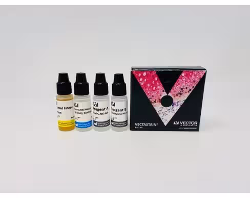 Vectastain abc-ap kit (universal)